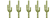 5 Saguaro Rated