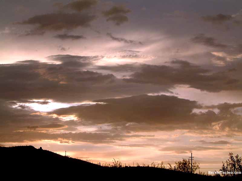 Tucson Sunset