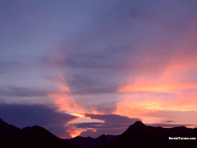 Tucson Sunset